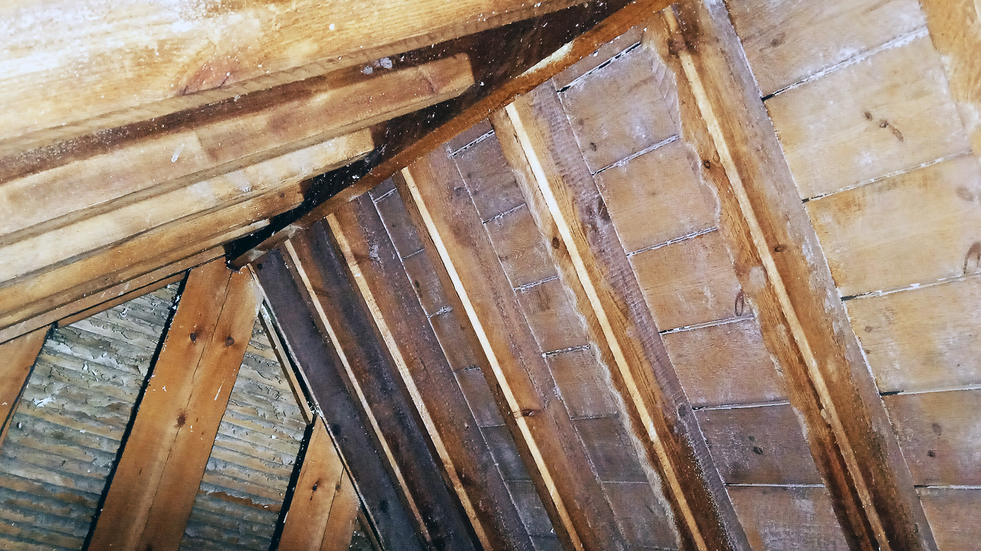 Open Cell Spray Foam Extraction
